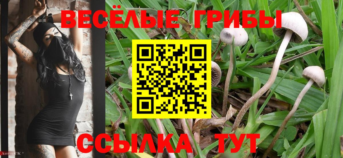 Галлюциногенные грибы мухоморы Елабуга