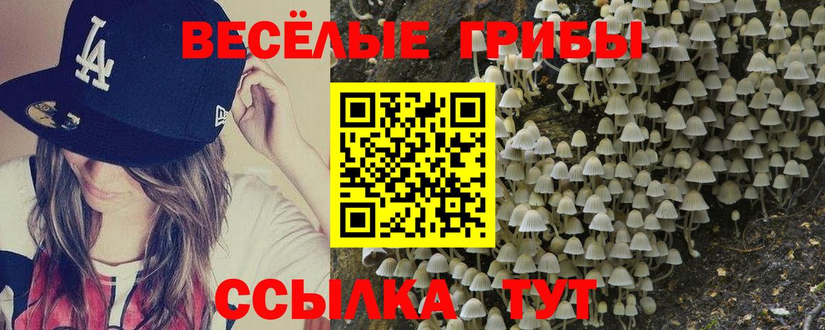 Елабуга  Псилоцибиновые грибы мицелий  где можно купить наркотик  Вход с VPN 